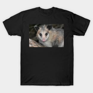 Possum T-Shirt